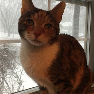 Meet your Posher, Janis